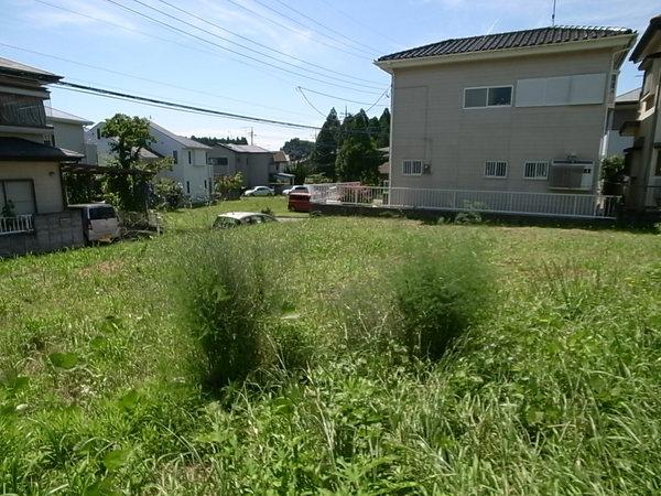 山武市大木の土地