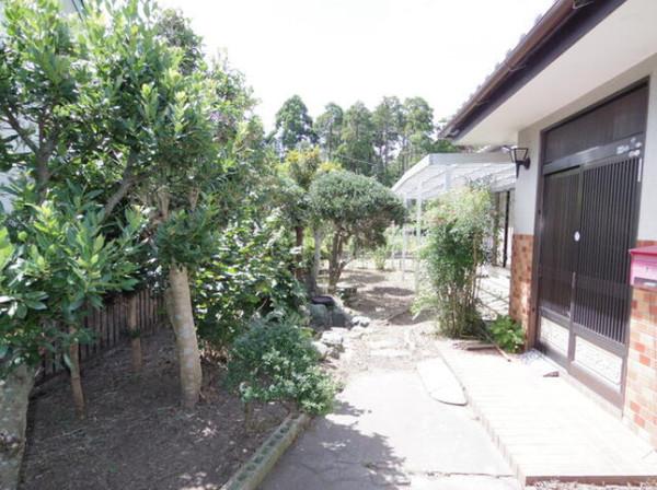 大網白里市　南横川