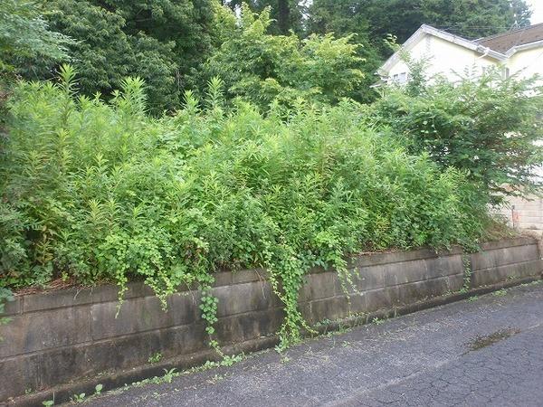 山武市沖渡の売土地