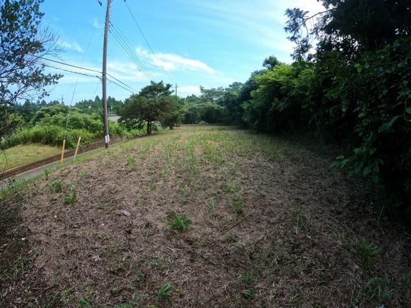 山武市大木の土地