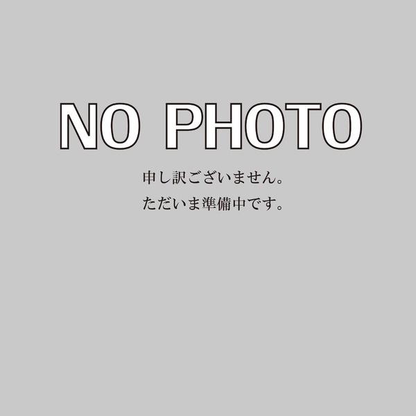 山形市浜崎の新築一戸建(ニトリ 山形北店)