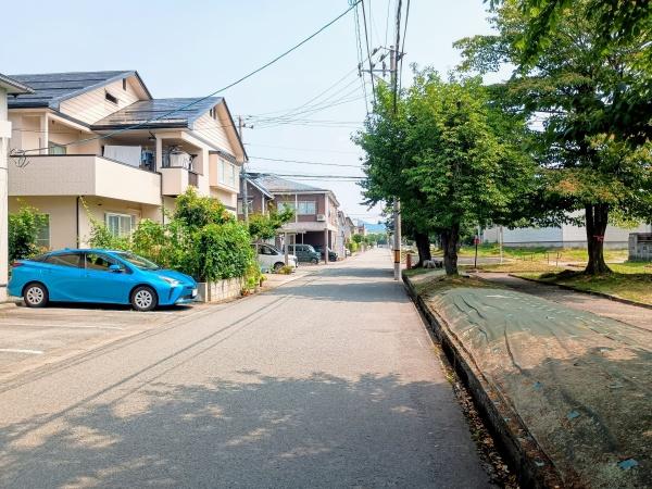 パセオプラシード