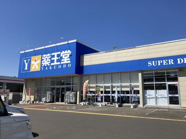 黒川郡大和町もみじケ丘３丁目の中古一戸建て(薬王堂宮城大富店)