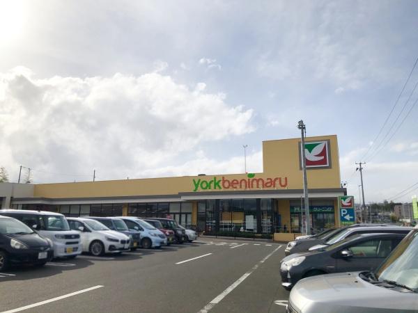 仙台市太白区西多賀3丁目の土地(ヨークベニマル仙台西の平店)