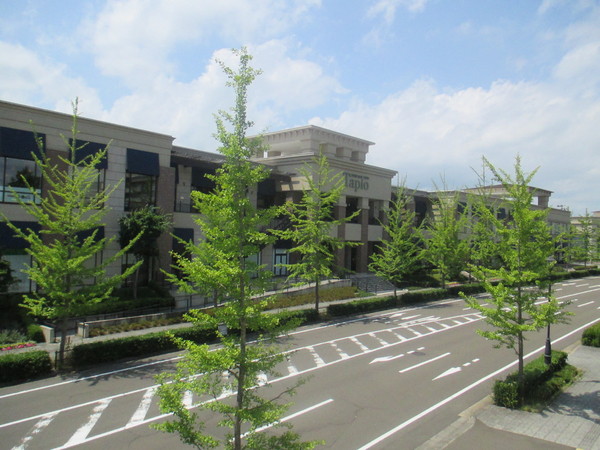 仙台市泉区根白石字平林屋敷の新築一戸建(泉パークタウンタピオ)