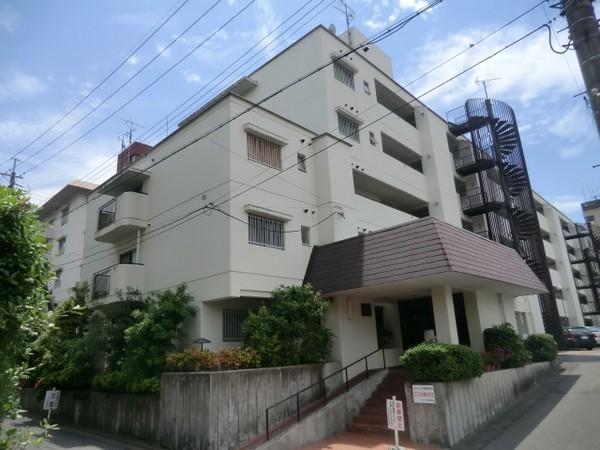 モラーダ墨染