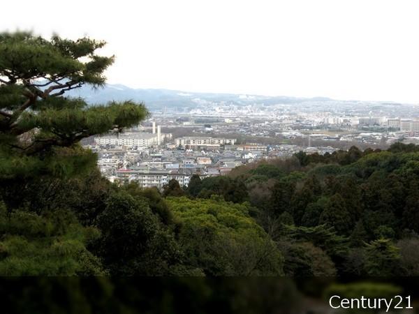 京都市伏見区桃山町泰長老の土地