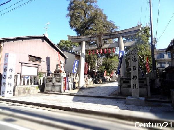 京都市伏見区桃山町正宗の土地