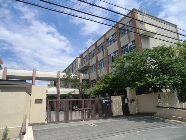 ディオ・フェルティ向日東