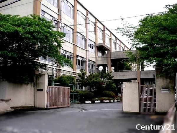 ディオ・フェルティ向日東