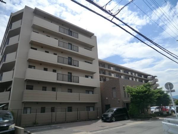 ディオ・フェルティ向日東
