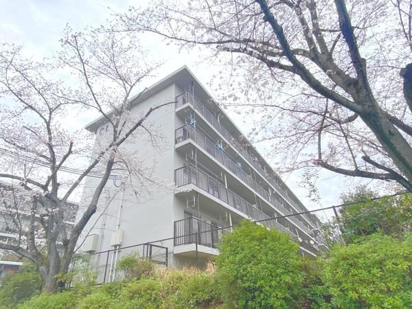 醍醐上ノ山団地B3棟
