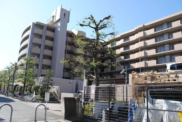 ディオ・フェルティ丹波橋右芳館