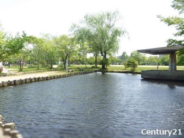 京都市伏見区中島河原田町の土地