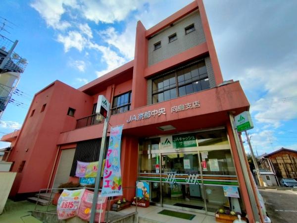 京都市伏見区向島本丸町の土地