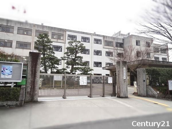 京都市伏見区桃山町島津の土地