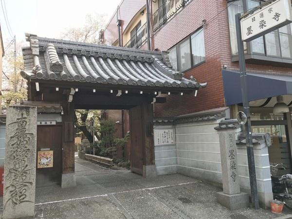 モラーダ墨染