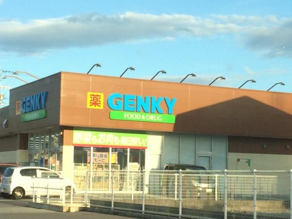 大垣市中野町4丁目の土地(ゲンキー中野店)