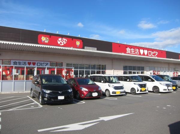 岐阜市茶屋新田の土地(ロピア柳津店)