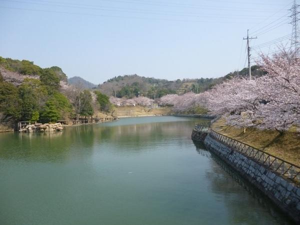 倉敷市玉島阿賀崎の土地(里見川緑地)