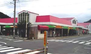 玉野市迫間の土地(CO・OP荘内店)