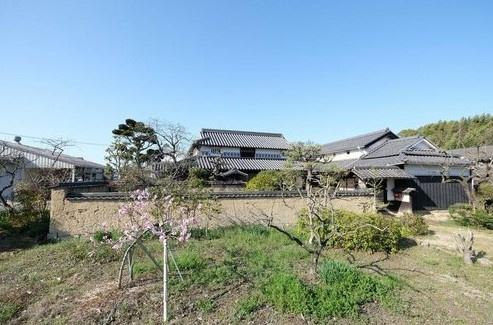 粒江戸建