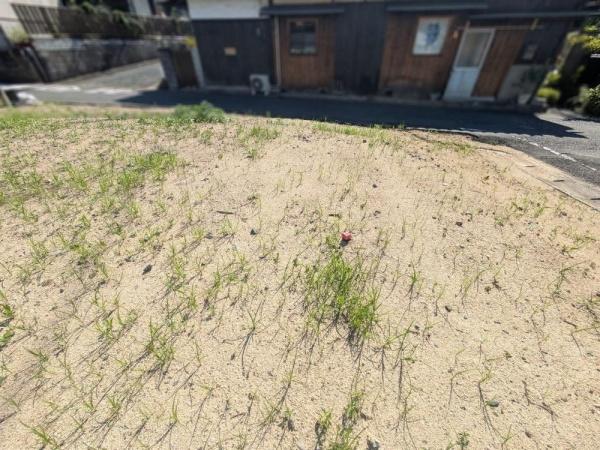 林土地