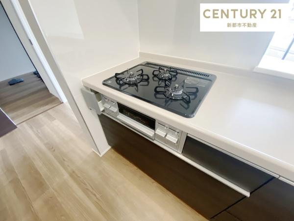 リーブルガーデン倉敷水江第10(キッチン)