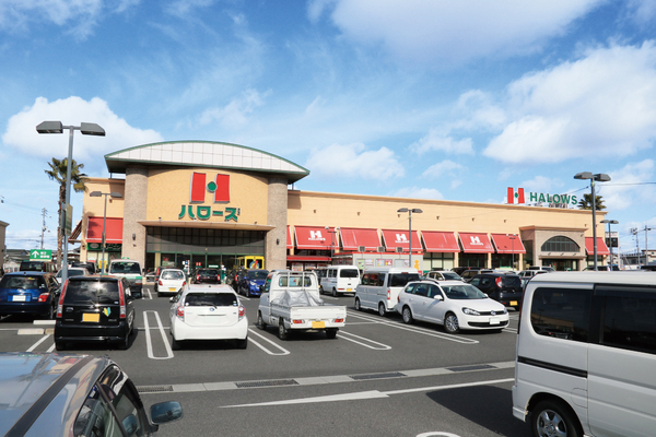 テラシエ岡山市南区藤田1期 2号棟(ハローズ当新田店)
