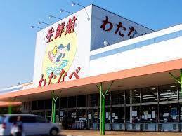 ブルーミングガーデン玉野市田井3丁目 2号棟(わたなべ生鮮館玉野店)