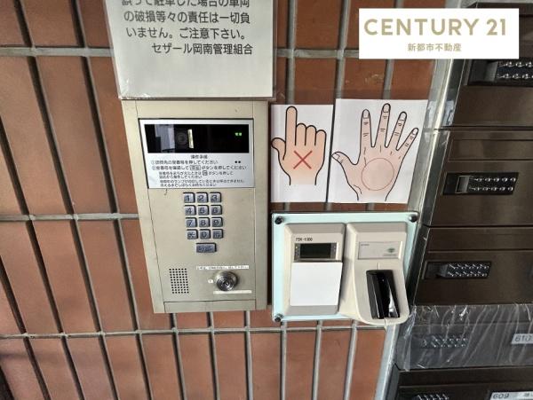 セザール岡南