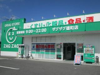 ブルーミングガーデン岡山市中区国府市場(ザグザグ雄町店)