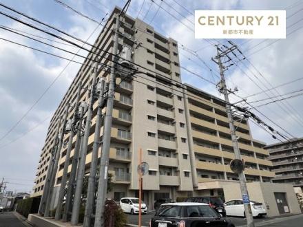 アルファステイツ上中野