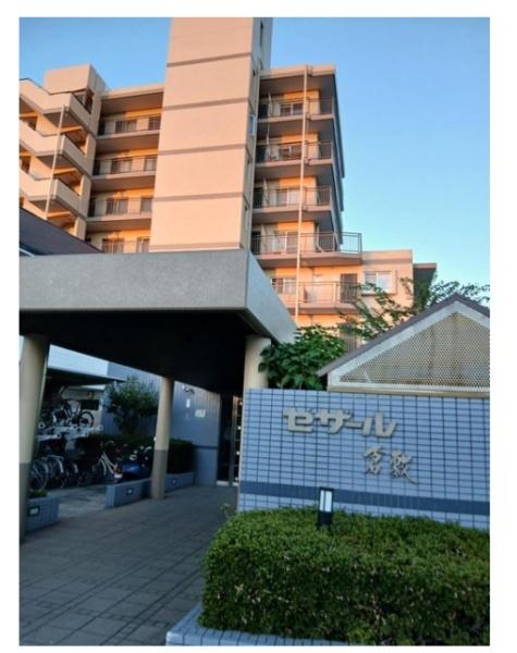 セザール倉敷