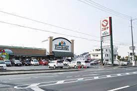 ブルーミングガーデン岡山市北区平田　３号棟(ニシナフードバスケット中仙道店)