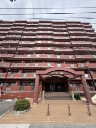セザール岡南