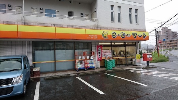 ブルーミングガーデン岡山市北区谷万成１丁目(ら・む～マート岡山商大前店)