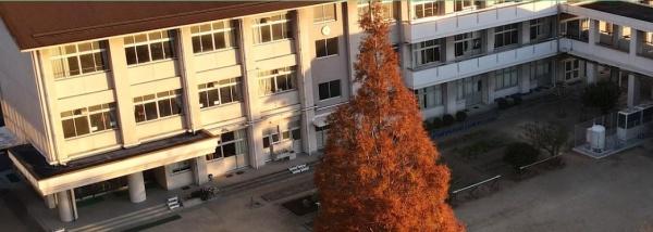 岡山市南区西畦の土地(岡山市立曽根小学校)