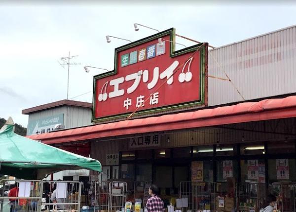 倉敷市中庄１期　２号棟(業務スーパーエブリイ中庄店)
