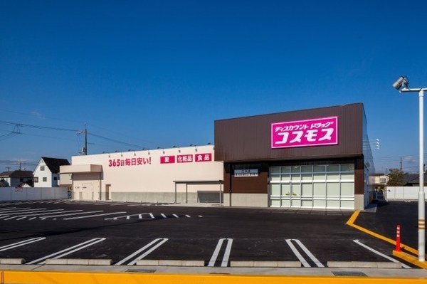 ブルーミングガーデン南区福島２丁目　２号棟(ディスカウントドラッグコスモス三浜店)