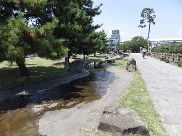 ●ローズタウン草加A棟●(綾瀬川松並木)