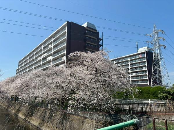 【23日(土)・24日(日)室内見学可能】草加松原ハイツB棟