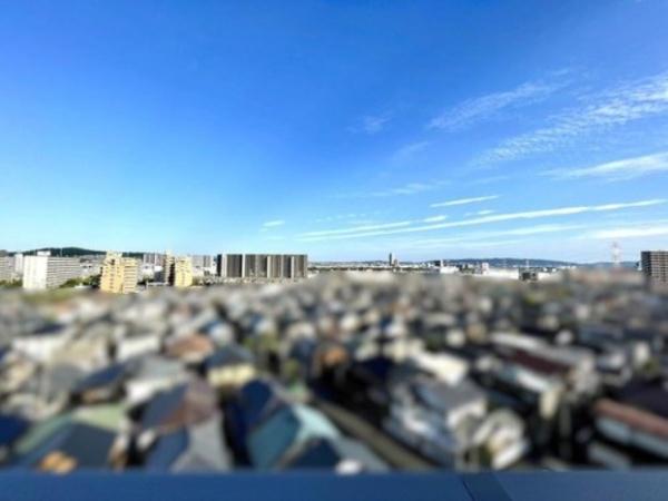 ウエリス島本