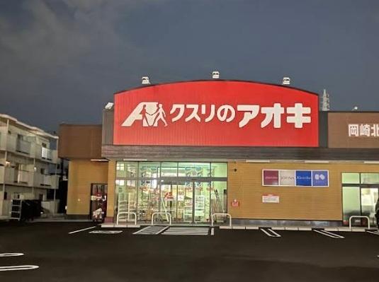 豊田市桝塚西町南山の土地(クスリのアオキ岡崎北野店)