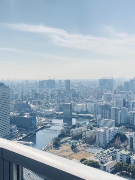 スカイジャグジー付東京タワーを望むメゾネットプレミアム住戸