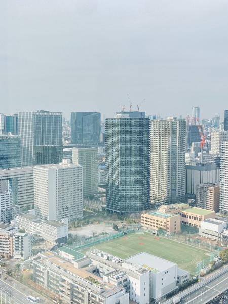 スカイジャグジー付東京タワーを望むメゾネットプレミアム住戸