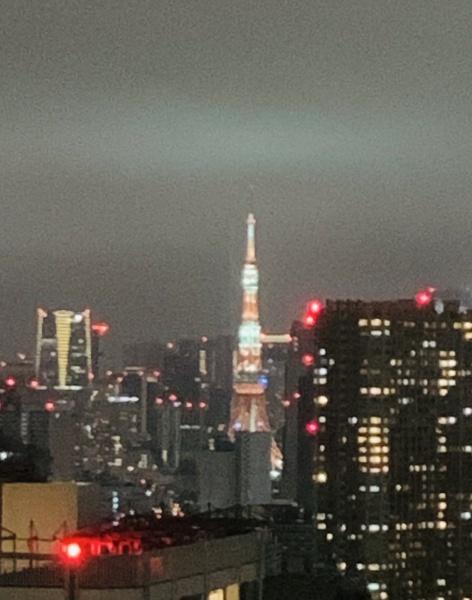 スカイジャグジー付東京タワーを望むメゾネットプレミアム住戸