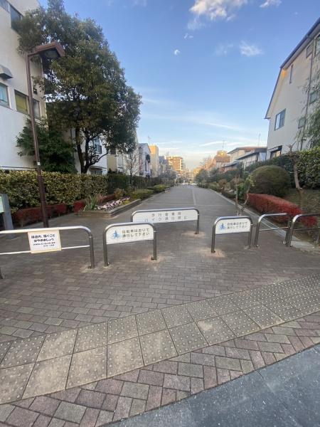 緑道沿いの土地登場　建築条件無し　小山６丁目古屋付土地