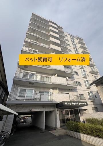 グリーンキャピタル肴町