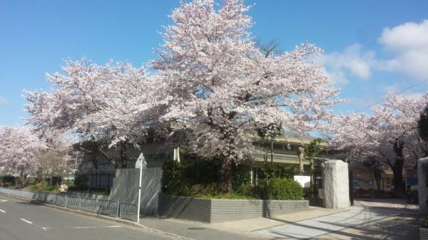 京都市右京区太秦堀池町の土地(蜂ヶ丘中学校)